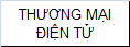 THƯƠNG MẠI ĐIỆN TỬ